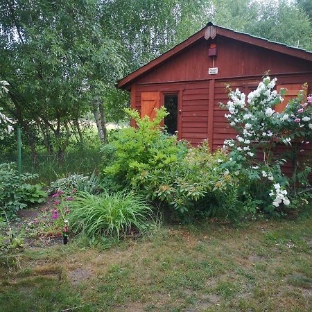 Domki Domek Na Jeziorem Wilczynskim Budzislawskim , Las, Osobno Ogrodzony 2-6 Osob- Klimatyzacja, Ogrzewanie, 62-550 Zygmuntowo Gm Wilczyn Zygmuntowo (Konin) Exterior foto