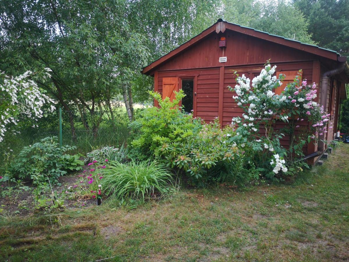 Domki Domek Na Jeziorem Wilczynskim Budzislawskim , Las, Osobno Ogrodzony 2-6 Osob- Klimatyzacja, Ogrzewanie, 62-550 Zygmuntowo Gm Wilczyn Zygmuntowo (Konin) Exterior foto