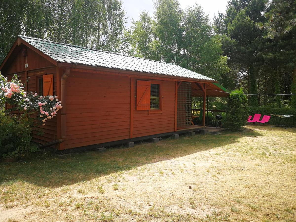 Domki Domek Na Jeziorem Wilczynskim Budzislawskim , Las, Osobno Ogrodzony 2-6 Osob- Klimatyzacja, Ogrzewanie, 62-550 Zygmuntowo Gm Wilczyn Zygmuntowo (Konin) Exterior foto