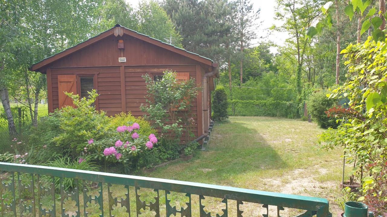 Domki Domek Na Jeziorem Wilczynskim Budzislawskim , Las, Osobno Ogrodzony 2-6 Osob- Klimatyzacja, Ogrzewanie, 62-550 Zygmuntowo Gm Wilczyn Zygmuntowo (Konin) Exterior foto