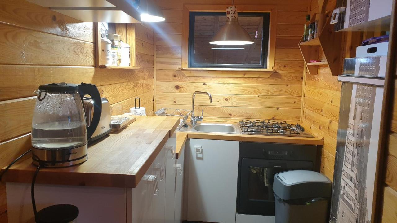 Domki Domek Na Jeziorem Wilczynskim Budzislawskim , Las, Osobno Ogrodzony 2-6 Osob- Klimatyzacja, Ogrzewanie, 62-550 Zygmuntowo Gm Wilczyn Zygmuntowo (Konin) Exterior foto