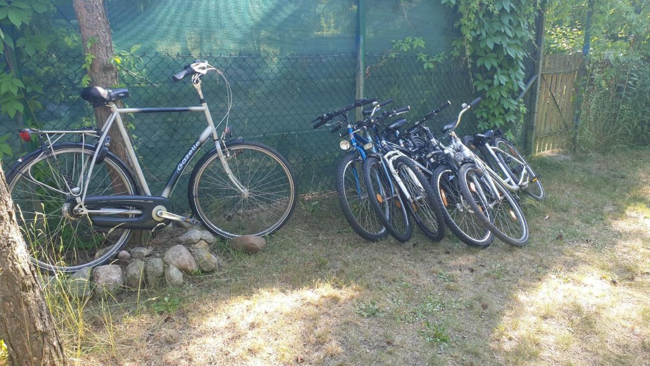 Domki Domek Na Jeziorem Wilczynskim Budzislawskim , Las, Osobno Ogrodzony 2-6 Osob- Klimatyzacja, Ogrzewanie, 62-550 Zygmuntowo Gm Wilczyn Zygmuntowo (Konin) Exterior foto