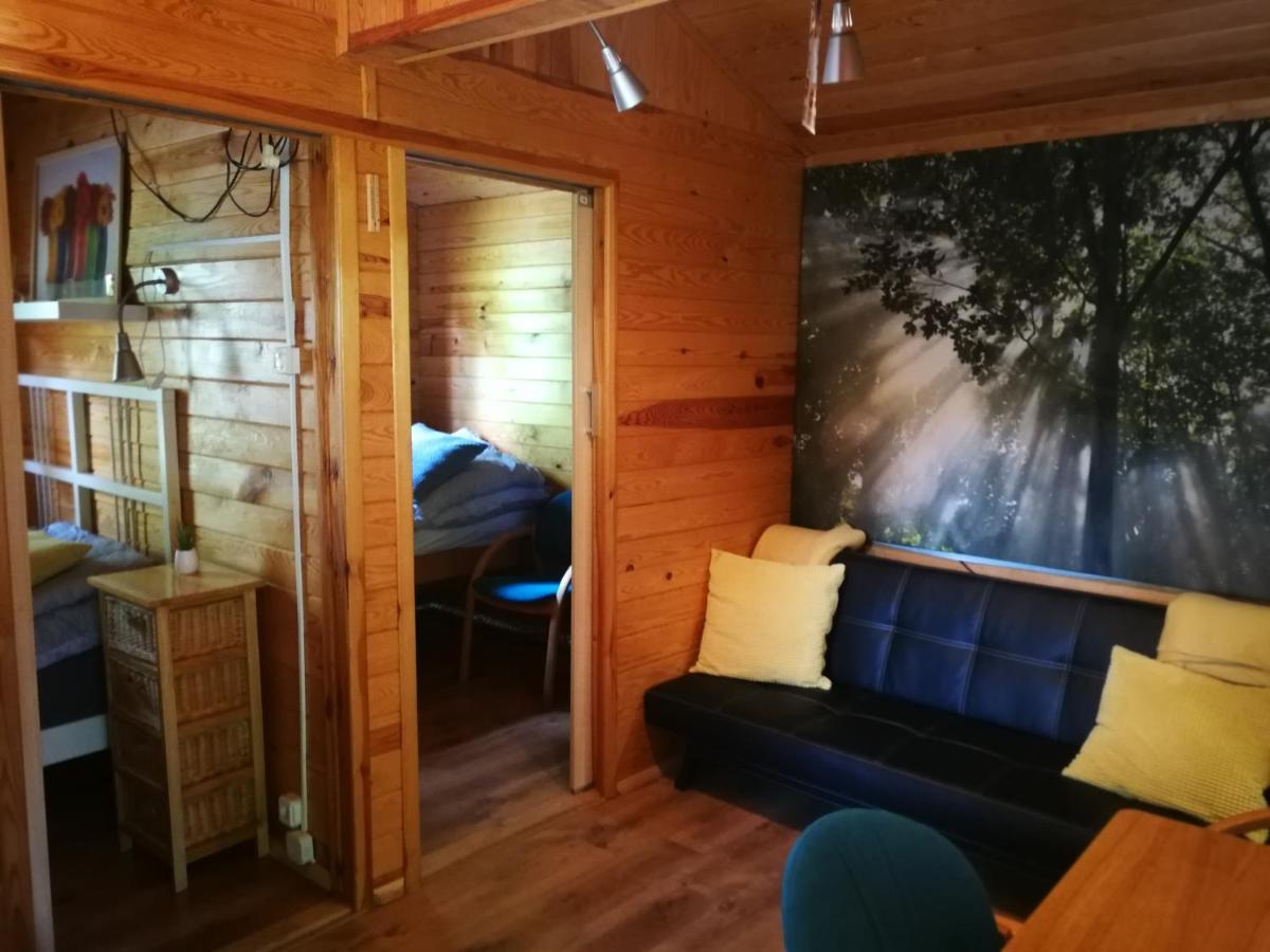 Domki Domek Na Jeziorem Wilczynskim Budzislawskim , Las, Osobno Ogrodzony 2-6 Osob- Klimatyzacja, Ogrzewanie, 62-550 Zygmuntowo Gm Wilczyn Zygmuntowo (Konin) Exterior foto