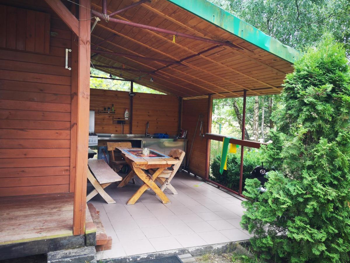 Domki Domek Na Jeziorem Wilczynskim Budzislawskim , Las, Osobno Ogrodzony 2-6 Osob- Klimatyzacja, Ogrzewanie, 62-550 Zygmuntowo Gm Wilczyn Zygmuntowo (Konin) Exterior foto