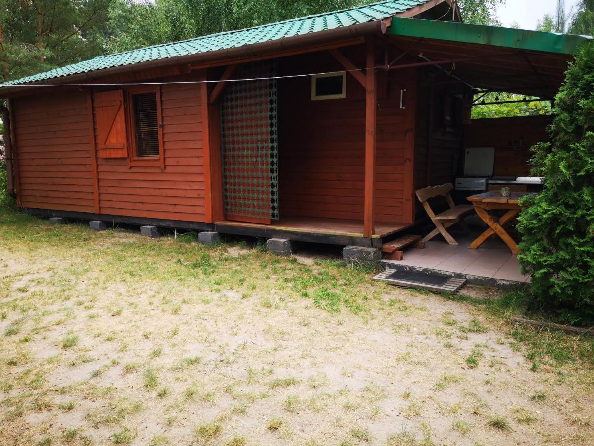 Domki Domek Na Jeziorem Wilczynskim Budzislawskim , Las, Osobno Ogrodzony 2-6 Osob- Klimatyzacja, Ogrzewanie, 62-550 Zygmuntowo Gm Wilczyn Zygmuntowo (Konin) Exterior foto