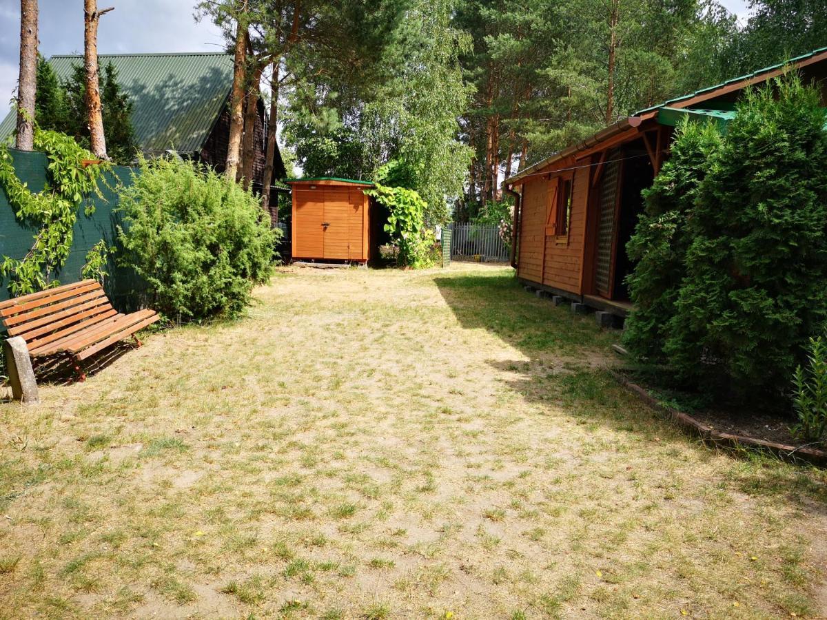 Domki Domek Na Jeziorem Wilczynskim Budzislawskim , Las, Osobno Ogrodzony 2-6 Osob- Klimatyzacja, Ogrzewanie, 62-550 Zygmuntowo Gm Wilczyn Zygmuntowo (Konin) Exterior foto