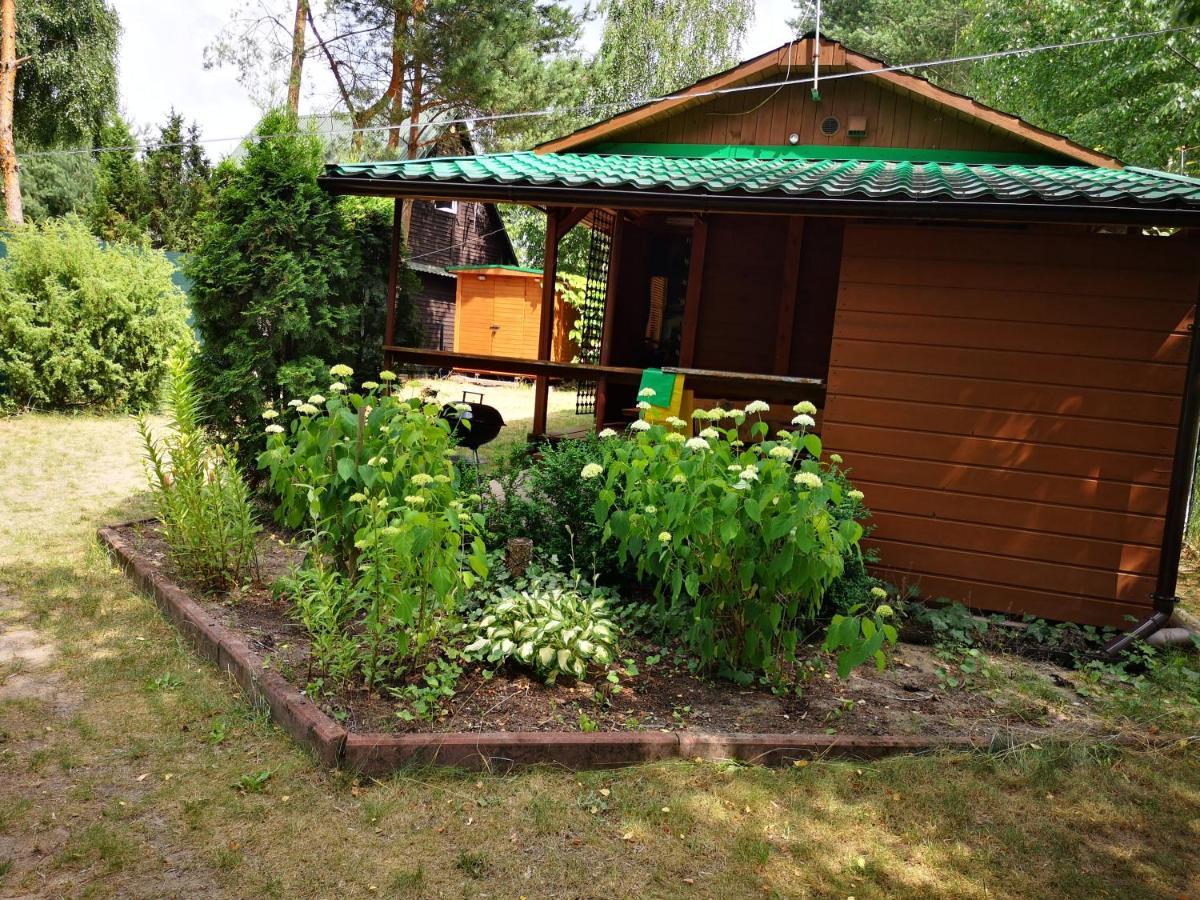 Domki Domek Na Jeziorem Wilczynskim Budzislawskim , Las, Osobno Ogrodzony 2-6 Osob- Klimatyzacja, Ogrzewanie, 62-550 Zygmuntowo Gm Wilczyn Zygmuntowo (Konin) Exterior foto