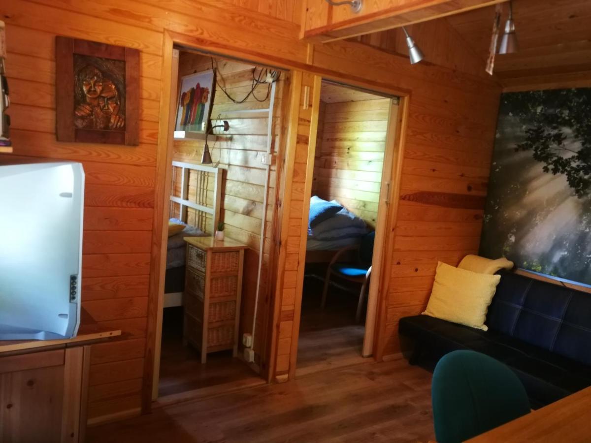 Domki Domek Na Jeziorem Wilczynskim Budzislawskim , Las, Osobno Ogrodzony 2-6 Osob- Klimatyzacja, Ogrzewanie, 62-550 Zygmuntowo Gm Wilczyn Zygmuntowo (Konin) Exterior foto