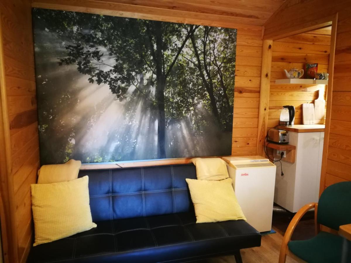 Domki Domek Na Jeziorem Wilczynskim Budzislawskim , Las, Osobno Ogrodzony 2-6 Osob- Klimatyzacja, Ogrzewanie, 62-550 Zygmuntowo Gm Wilczyn Zygmuntowo (Konin) Exterior foto