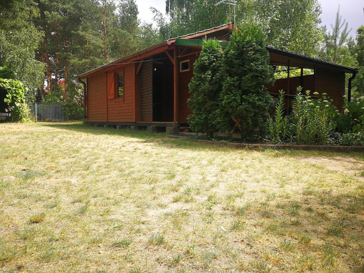 Domki Domek Na Jeziorem Wilczynskim Budzislawskim , Las, Osobno Ogrodzony 2-6 Osob- Klimatyzacja, Ogrzewanie, 62-550 Zygmuntowo Gm Wilczyn Zygmuntowo (Konin) Exterior foto