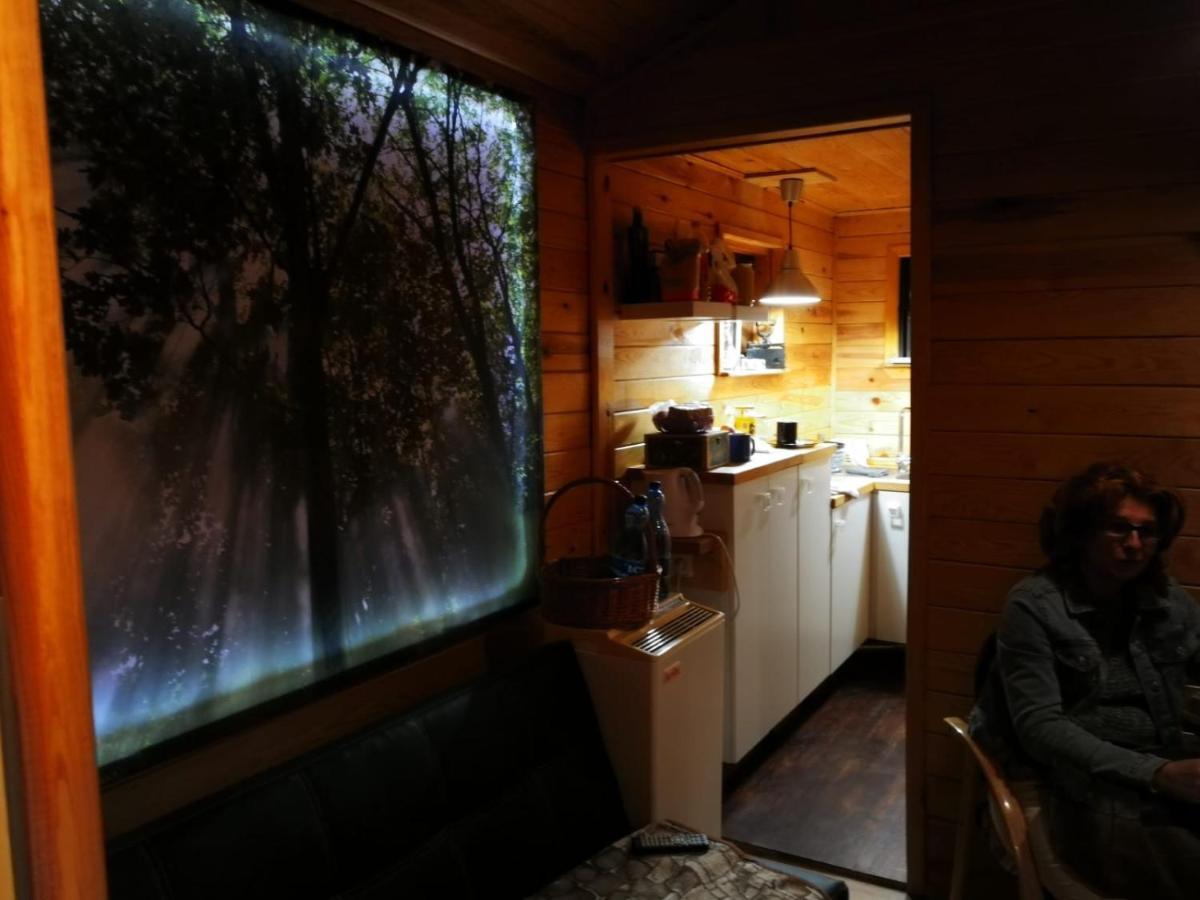 Domki Domek Na Jeziorem Wilczynskim Budzislawskim , Las, Osobno Ogrodzony 2-6 Osob- Klimatyzacja, Ogrzewanie, 62-550 Zygmuntowo Gm Wilczyn Zygmuntowo (Konin) Exterior foto
